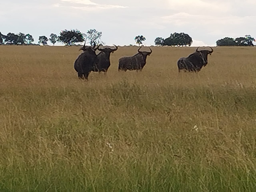0 Bedroom Property for Sale in Rustenburg Rural North West